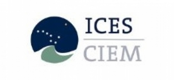 ИКЕС увеличил ОДУ трески и пикши в Баренцевом и Норвежском морях на 2021 год на 165 тыс.тонн